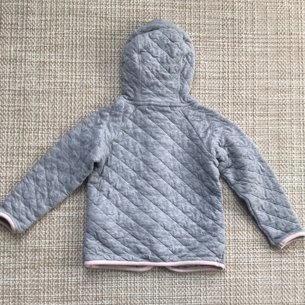 Patagonia Organic Hoody (size 3T)